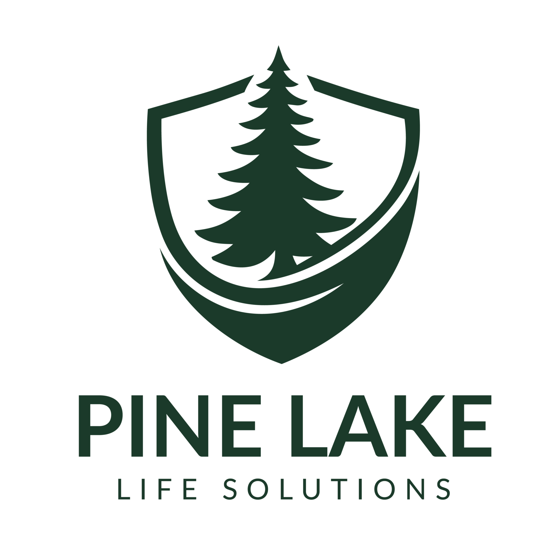 Pine Lake Life Solutions