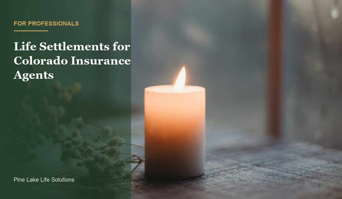 Licensing and Referral Rules in Colorado